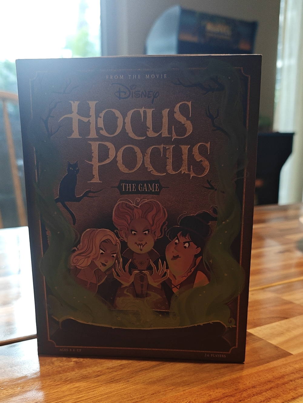 Disney Hocus Pocus The Game - Brown and Green Box
